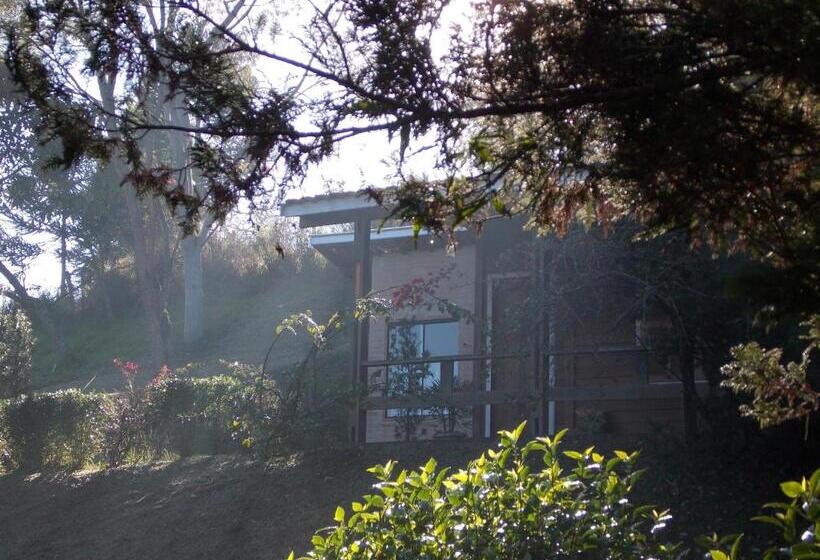 シャレー・スペリアー1寝室, Velinn Hotel Fazenda Fonte Das Hortênsias