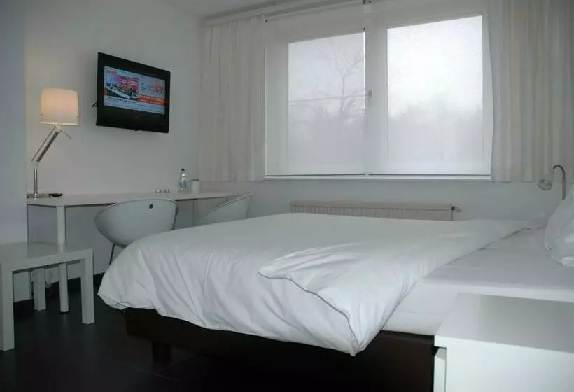 Camera Comfort, Lavan