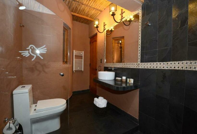 标准间, Pascual Andino