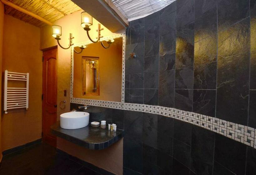 标准间, Pascual Andino