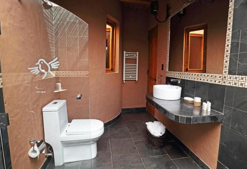 标准间, Pascual Andino