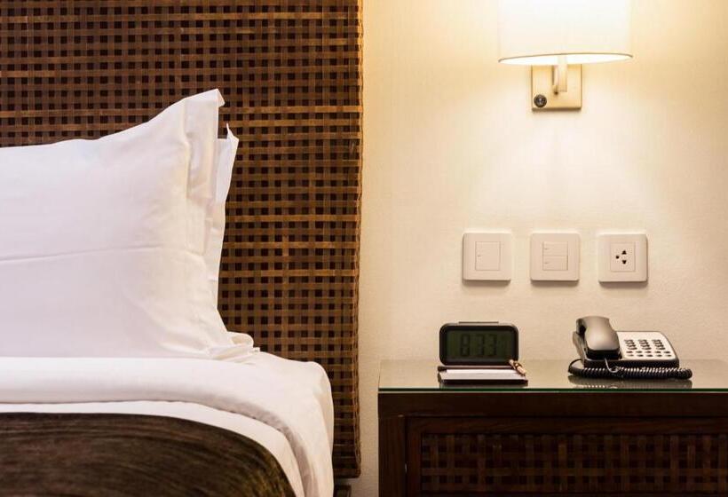 اتاق استاندارد با تخت بزرگ, City Garden Grand