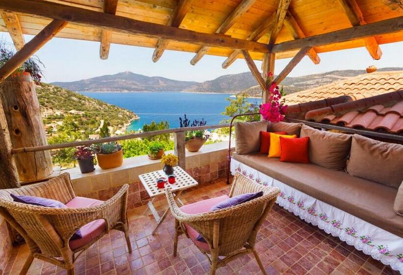 Deluxe Suite, Fidanka