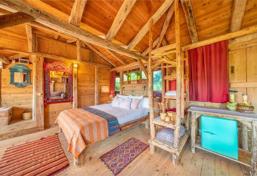 Deluxe Suite, Fidanka