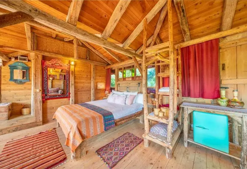 Deluxe Suite, Fidanka