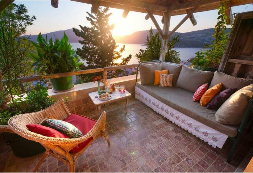 Deluxe Suite, Fidanka