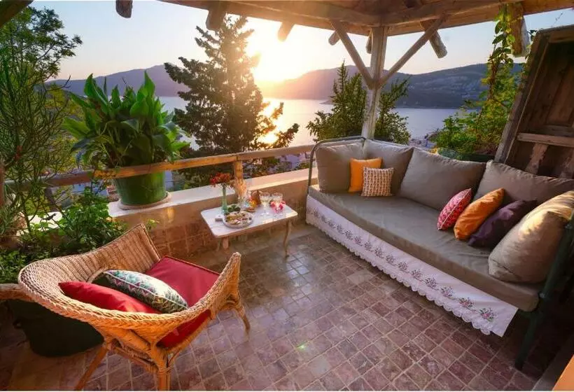 Deluxe Suite, Fidanka