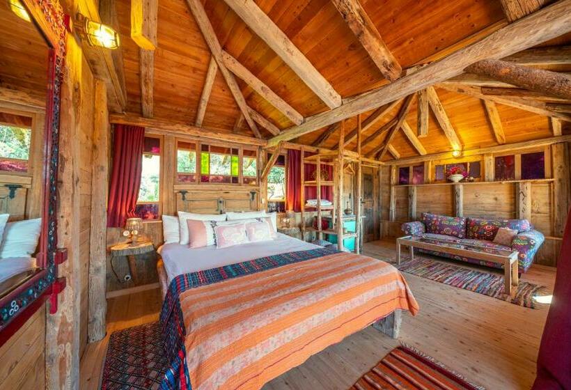 Deluxe Suite, Fidanka