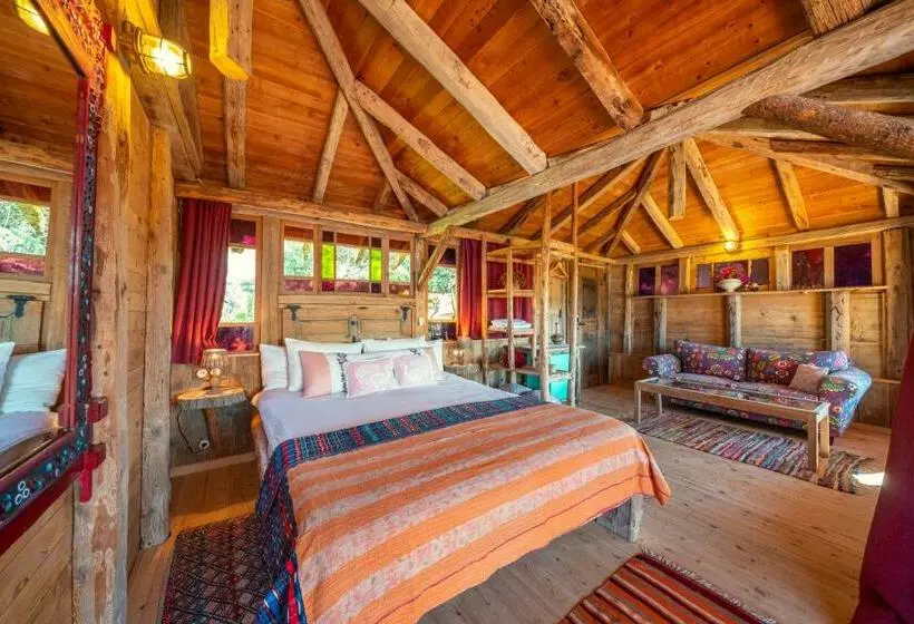Deluxe Suite, Fidanka