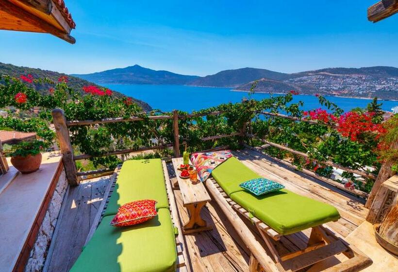 Suite with Hot Tub, Fidanka