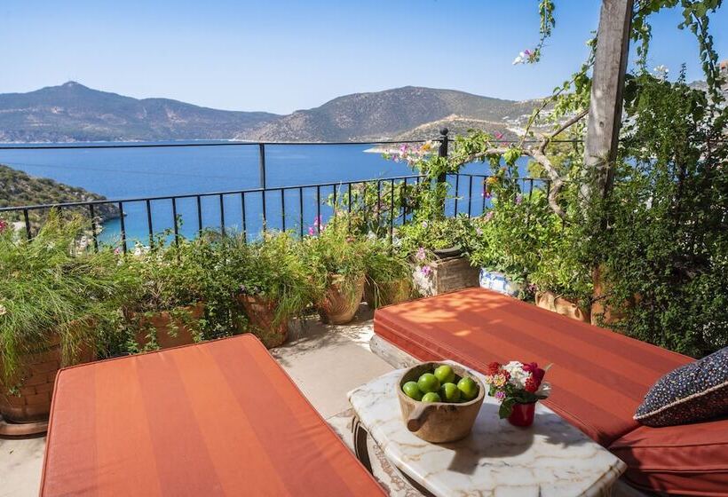 Suite with Hot Tub, Fidanka