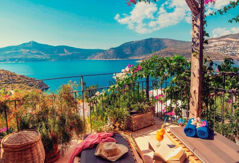 Suite with Hot Tub, Fidanka