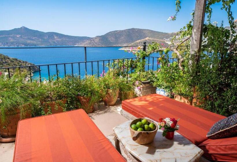 Suite with Hot Tub, Fidanka