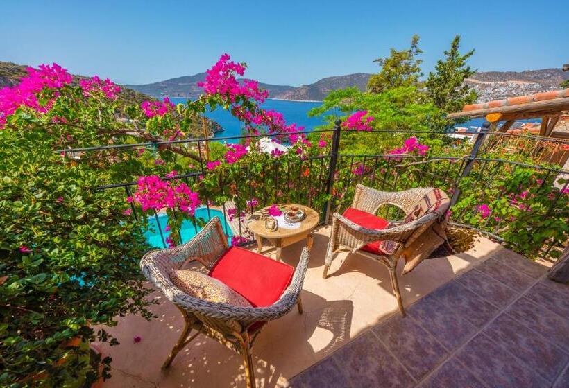 Deluxe Room Sea View, Fidanka