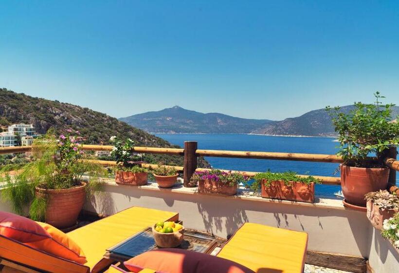 Presidential Suite, Fidanka