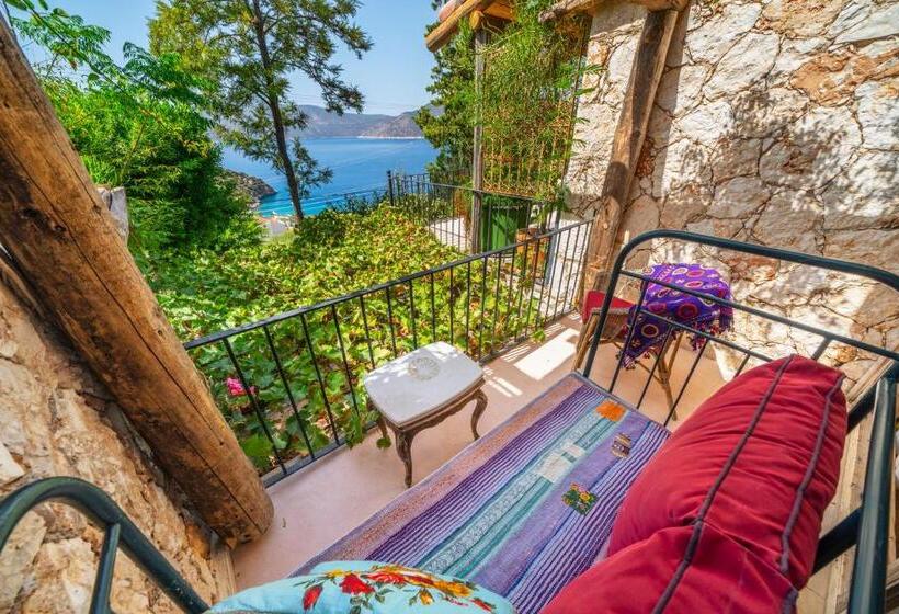 Standard Room, Fidanka