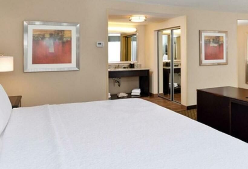 キングサイドベッドのスタンダードワンルーム, Hampton Inn & Suites Douglas