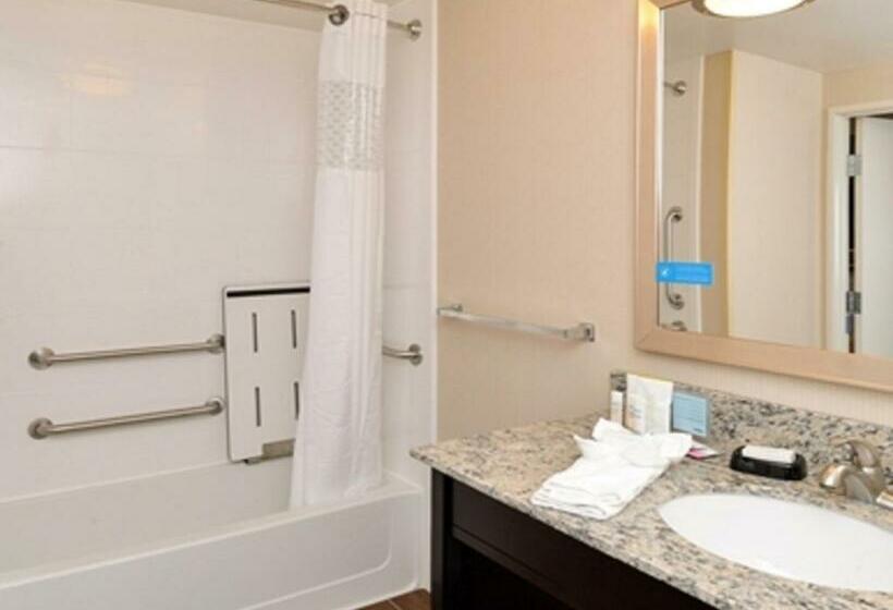 身障者適用スタンダードルーム, Hampton Inn & Suites Douglas