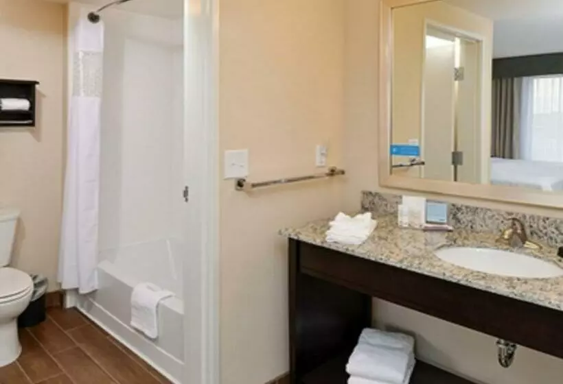 キングサイドベッドのスタンダードワンルーム, Hampton Inn & Suites Douglas