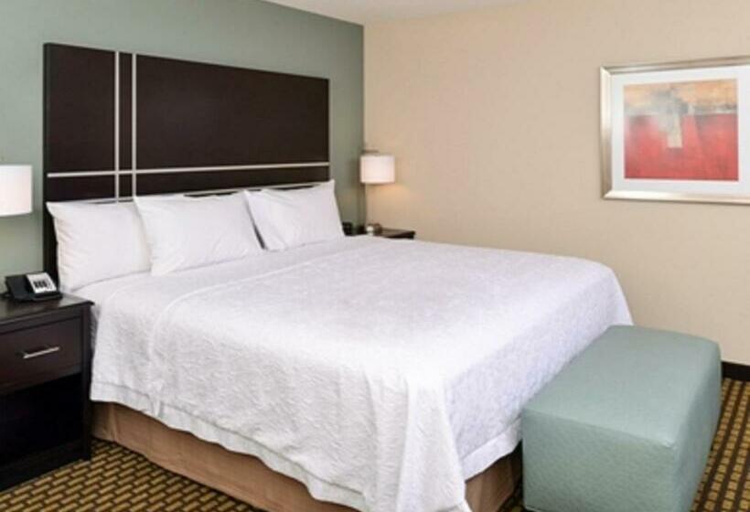 キングサイズベッドのスタンダードルーム, Hampton Inn & Suites Douglas