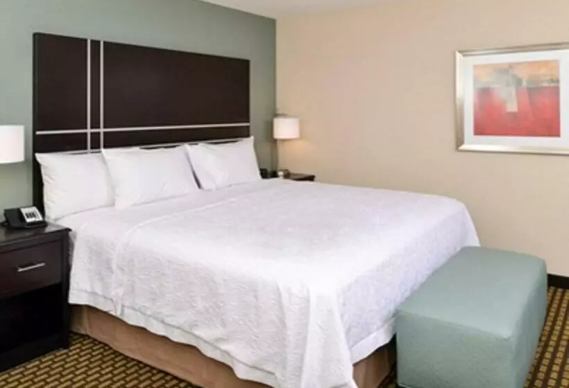 キングサイズベッドのスタンダードルーム, Hampton Inn & Suites Douglas