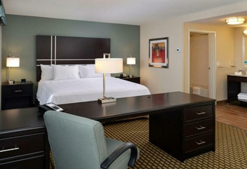 キングサイドベッドのスタンダードワンルーム, Hampton Inn & Suites Douglas