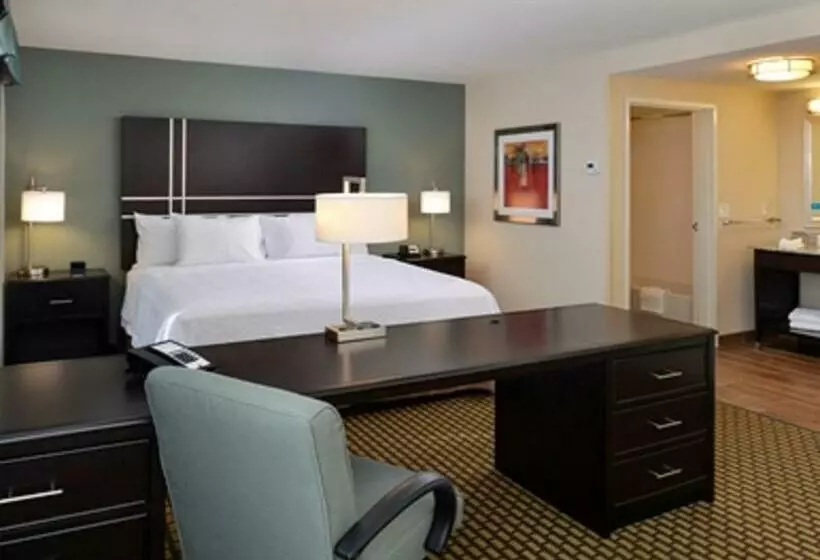 キングサイドベッドのスタンダードワンルーム, Hampton Inn & Suites Douglas