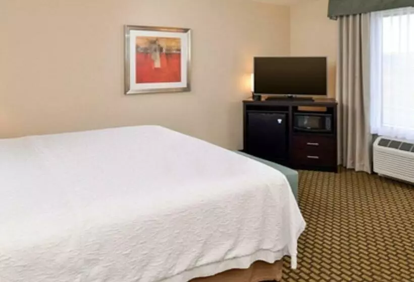 キングサイズベッドのスタンダードルーム, Hampton Inn & Suites Douglas