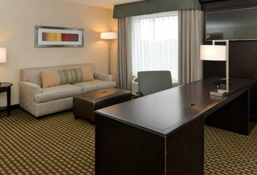 キングサイドベッドのスタンダードワンルーム, Hampton Inn & Suites Douglas