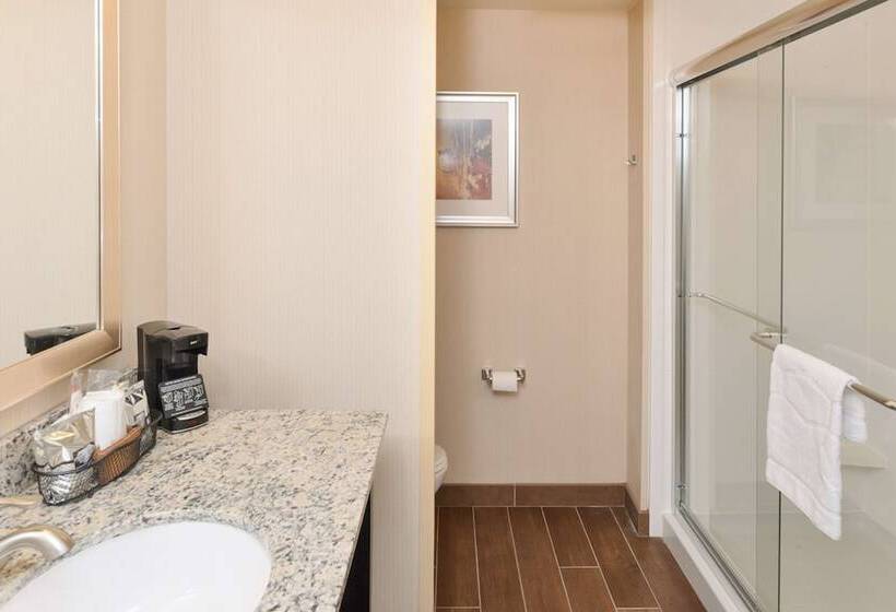 キングサイズベッドのスタンダードルーム, Hampton Inn & Suites Douglas