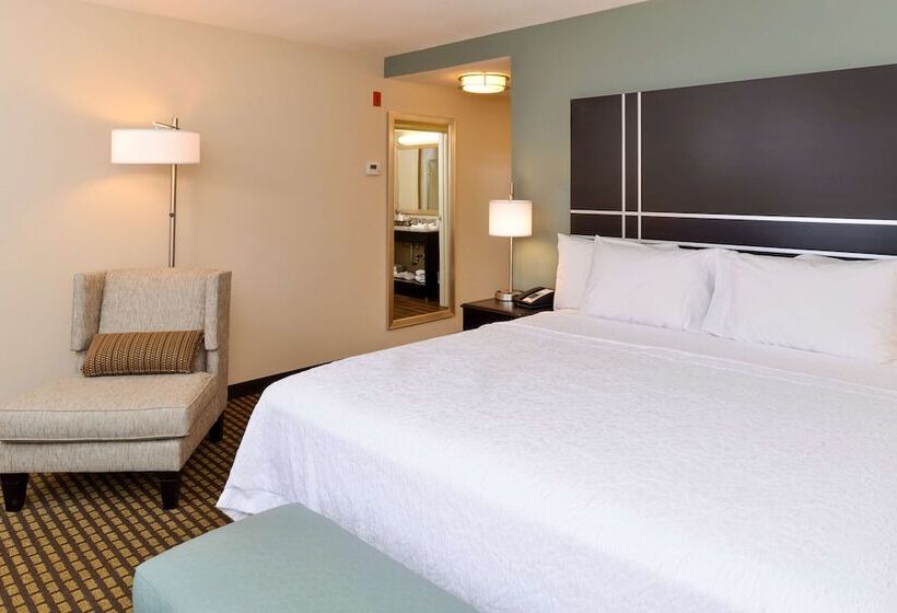 스탠다드 룸 킹사이즈 침대, Hampton Inn & Suites Douglas