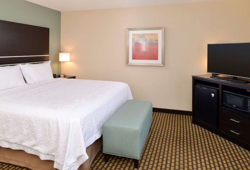 キングサイズベッドのスタンダードルーム, Hampton Inn & Suites Douglas