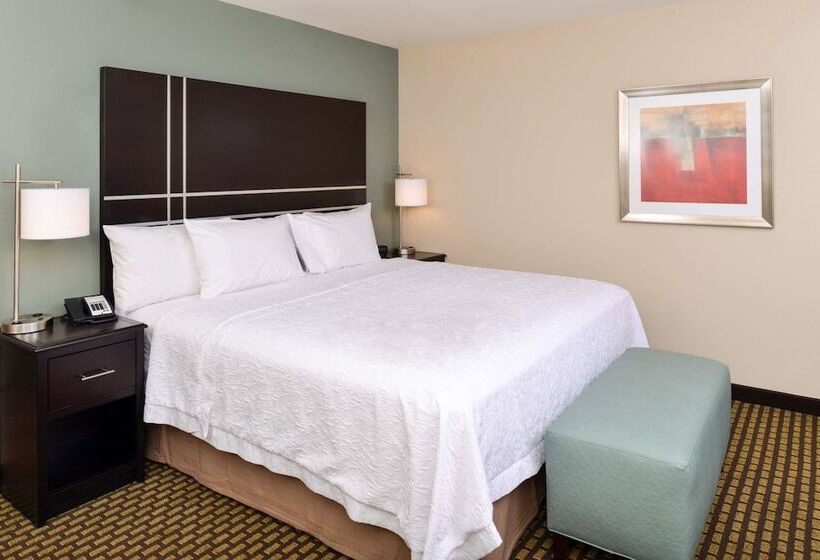 キングサイズベッドのスタンダードルーム, Hampton Inn & Suites Douglas