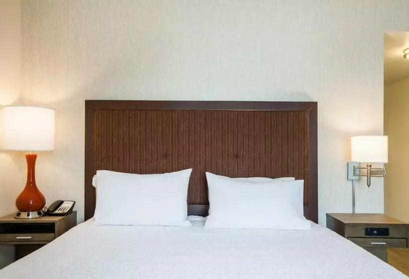 キングサイズベッドのスタンダードルーム, Hampton Inn & Suites Pasco/tricities