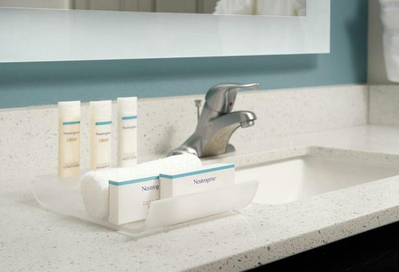 스탠다드 스튜디오, Homewood Suites By Hilton Metairie New Orleans