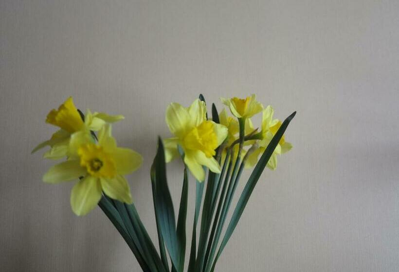 Номер Стандарт, Tango