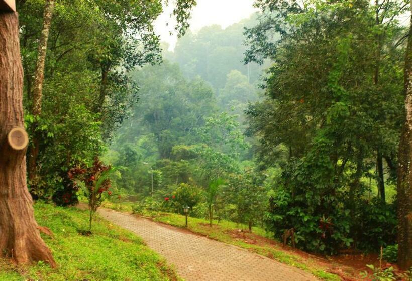 디럭스 룸, Vythiri Village