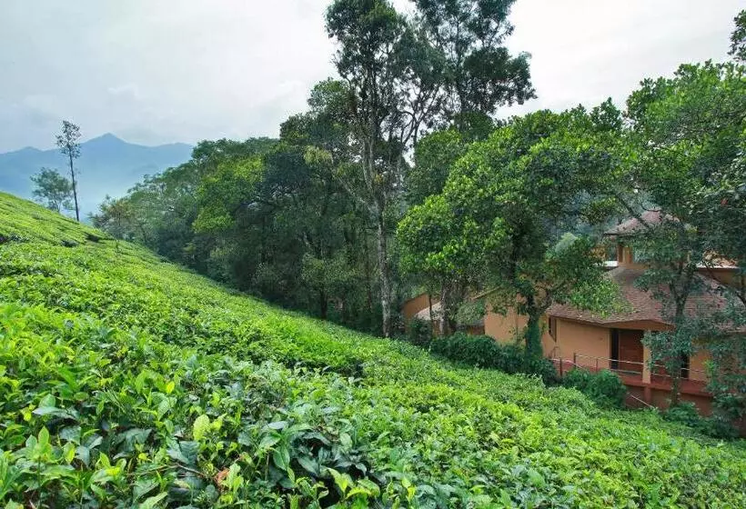 １ベッドルームハウス, Vythiri Village