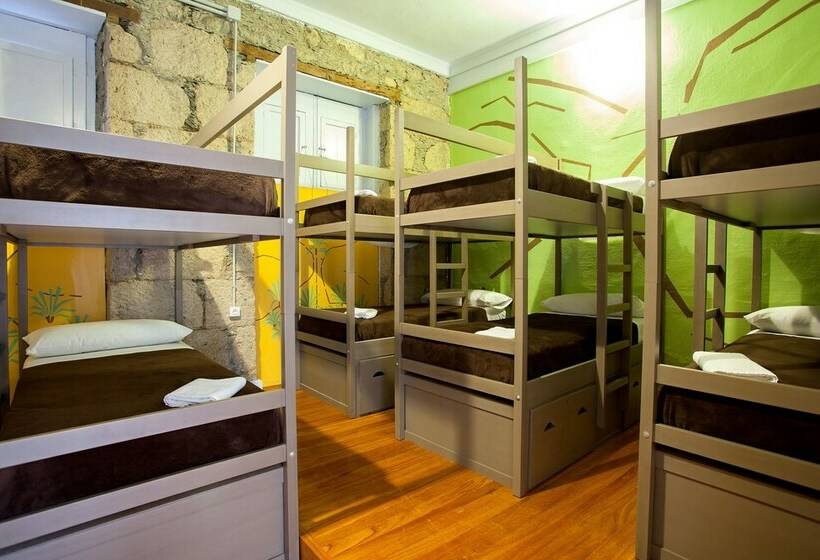 تختخواب در اتاق مشترک, Bettmar Ecohostel Canarias