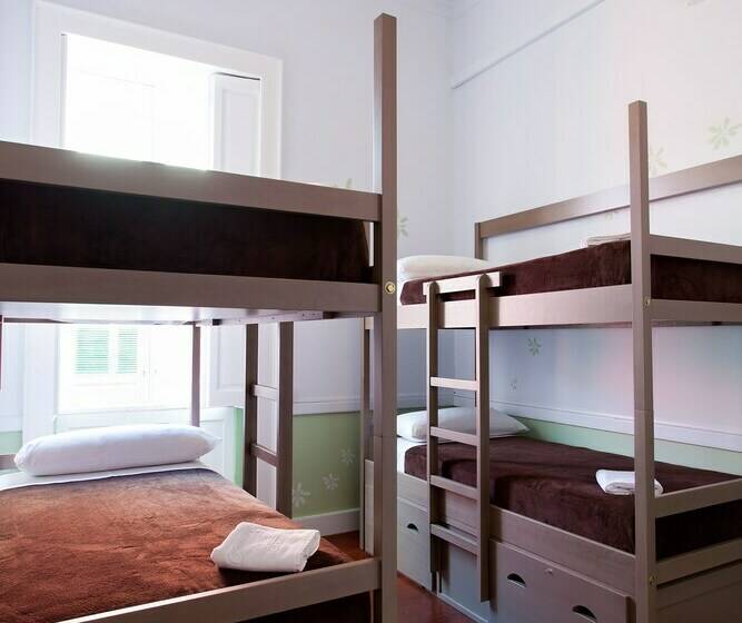 تختخواب در اتاق مشترک, Bettmar Ecohostel Canarias