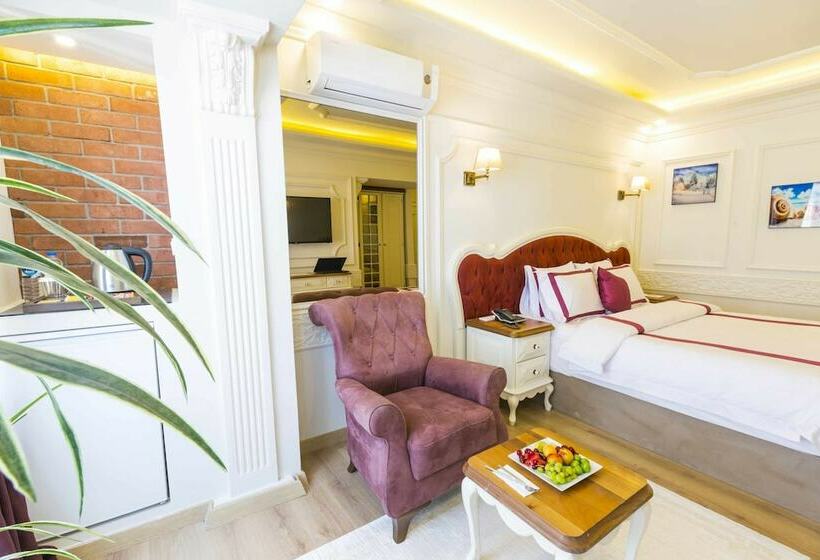 اتاق سوپریور, Andalouse Otel