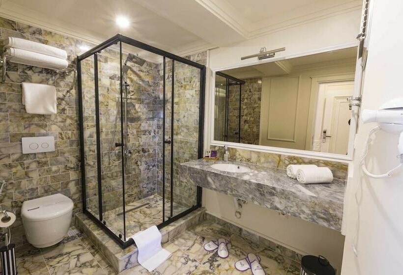 اتاق سوپریور, Andalouse Otel