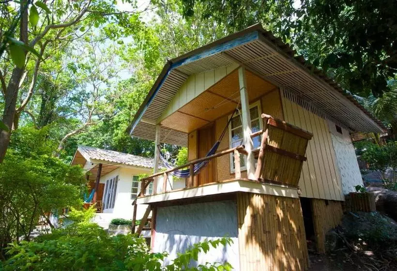 スタンダードシングルルーム, Bubble Bungalow