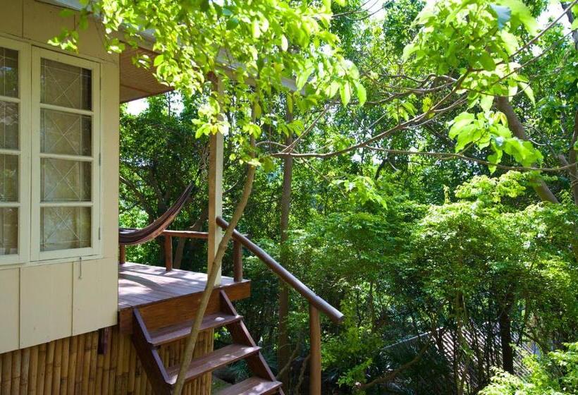 غرفة قياسية فردية, Bubble Bungalow