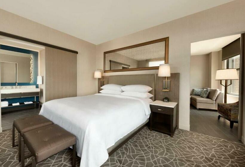 带大床的套房, Embassy Suites By Hilton Minneapolis Downtown