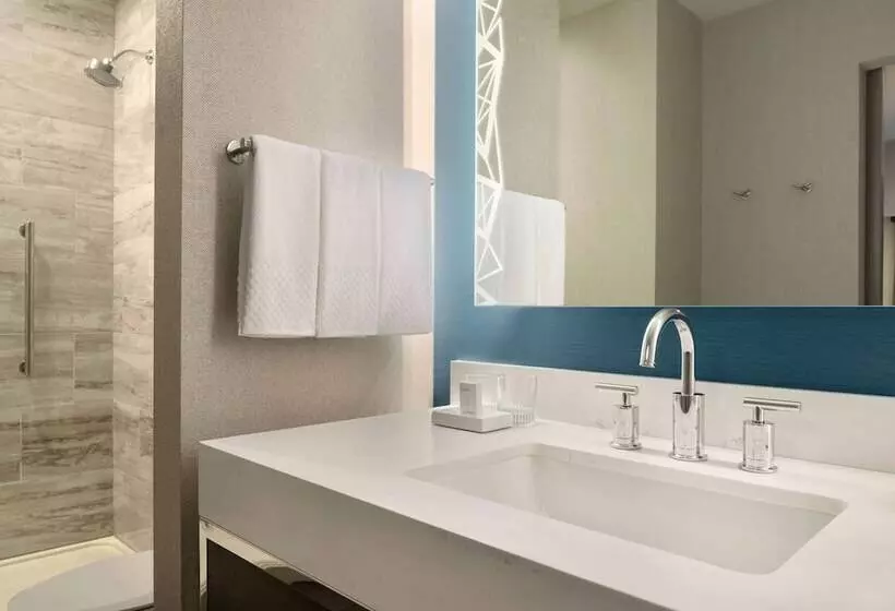 ダブルベッドのスタンダードスタジオ, Embassy Suites By Hilton Minneapolis Downtown