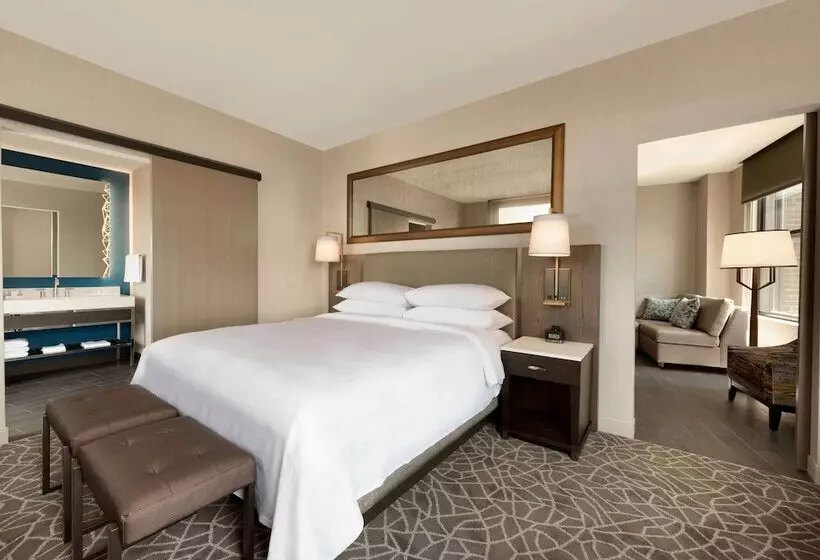 スイート, Embassy Suites By Hilton Minneapolis Downtown