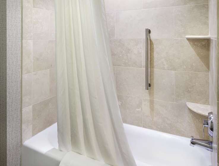 Люкс, Embassy Suites By Hilton Minneapolis Downtown