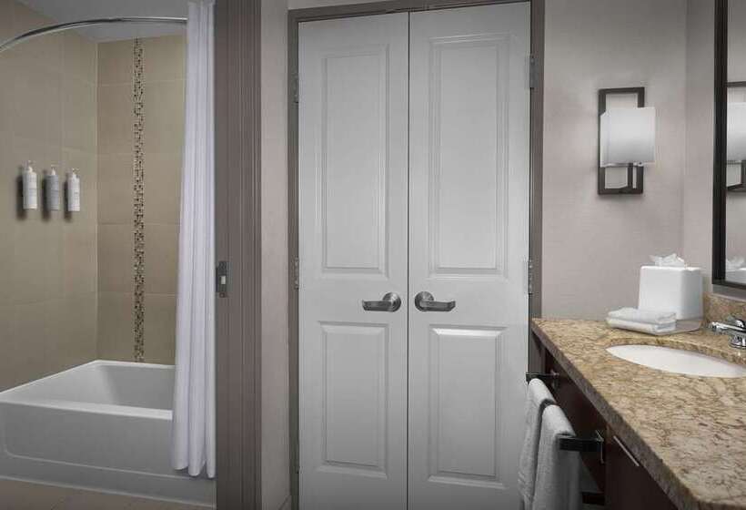 套房, Embassy Suites By Hilton Minneapolis Downtown