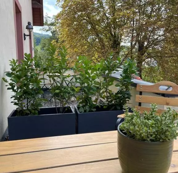 Standard-huone Terassi, & Restaurant Grüner Baum Merzhausen